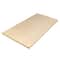 Pacon® 24" x 36" Medium Weight Manila Tagboard Sheet, 100 Count